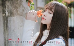 美美哒日本在线观看直播